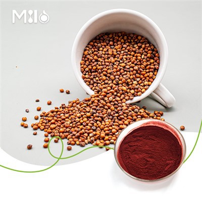 Kaoliang Röd Sorghum Pigment